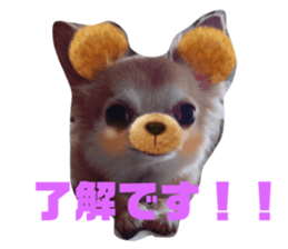 265773619