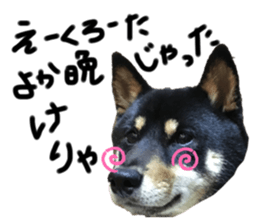 265907237