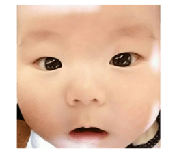 26607967