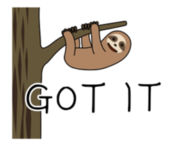 266093867