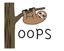 266093877