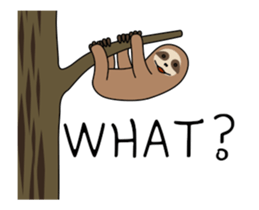266093881