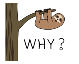 266093883