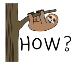 266093884