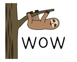 266093885