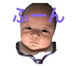 266123644