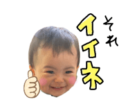 266149806