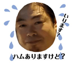 266165972