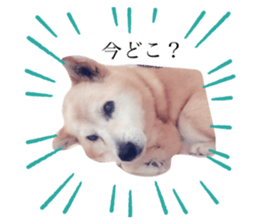 266200160