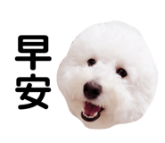 266223712