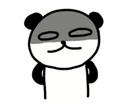 26636211