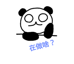 26636214