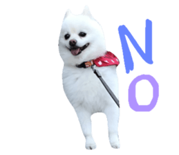 26645660