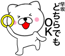 26652096