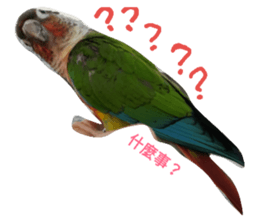 26653087
