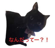 26659034