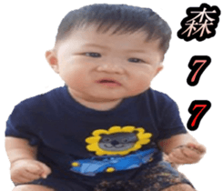 26659856