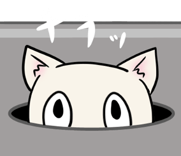26662413