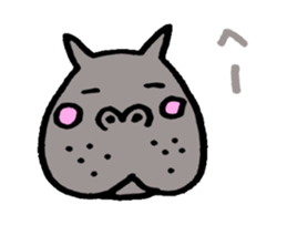 26664106