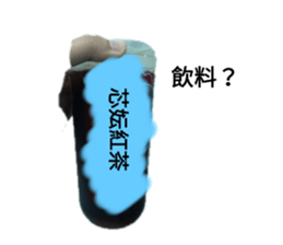266648393