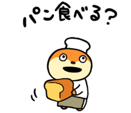 26664955