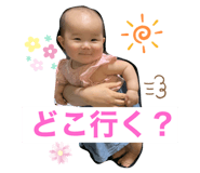 266668446