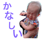 266668451