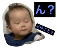 266668455