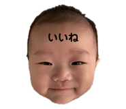 266734194
