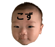 266734196