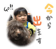 266739971