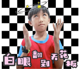 26677106
