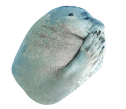 26724111