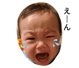 267308637