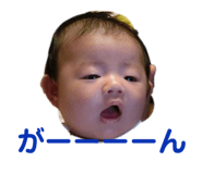 267487737