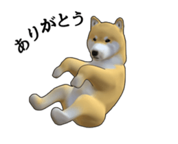 267536373