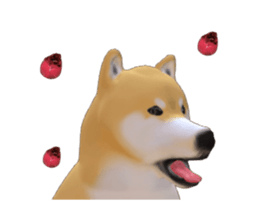 267536374