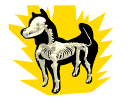 267536381