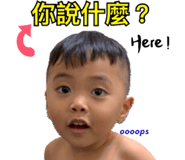 267601181