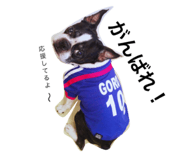 26761582