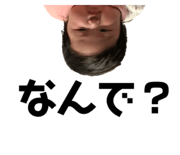 267969573