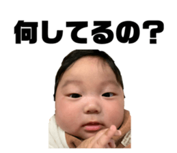 267969576