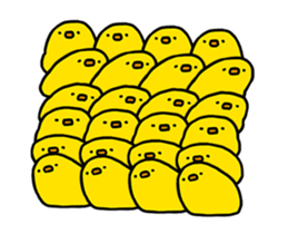 267975707