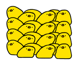267975709