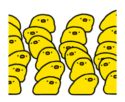 267975717