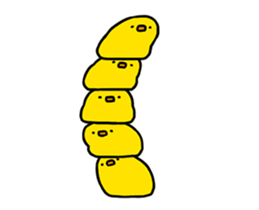 267975722