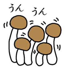268024668