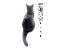 268062629