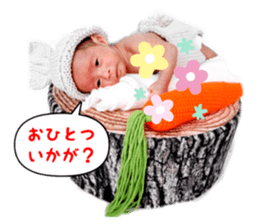 268062954