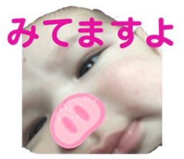 268112594